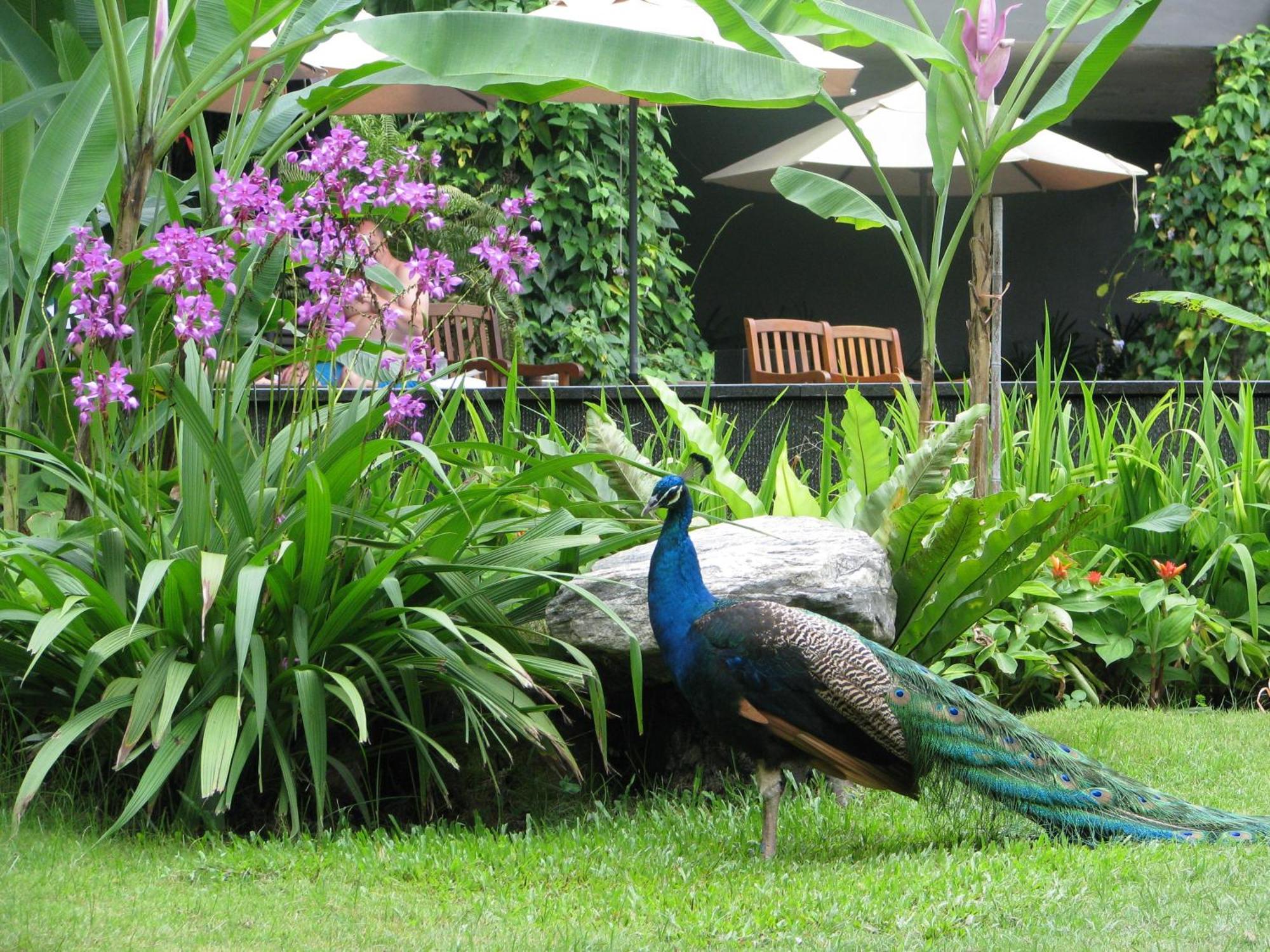 Siloso Beach Resort - Sentosa Singapur Zewnętrze zdjęcie