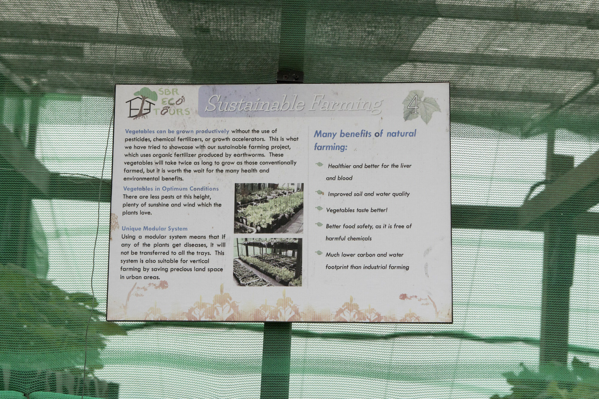 Siloso Beach Resort - Sentosa Singapur Zewnętrze zdjęcie